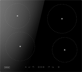 Induktionsfeld Reparatur Steinfurt
